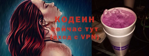 ПСИЛОЦИБИНОВЫЕ ГРИБЫ Арсеньев