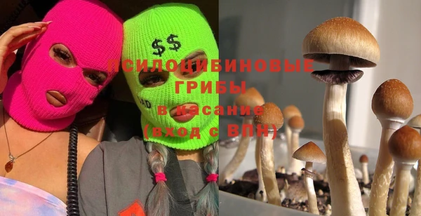 ПСИЛОЦИБИНОВЫЕ ГРИБЫ Арсеньев