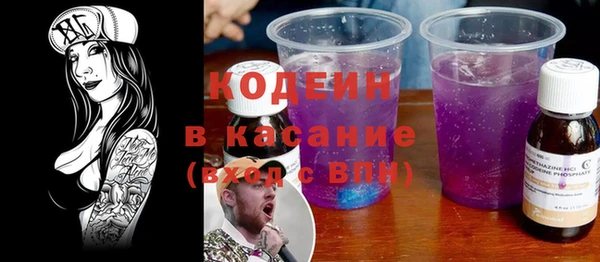ПСИЛОЦИБИНОВЫЕ ГРИБЫ Арсеньев