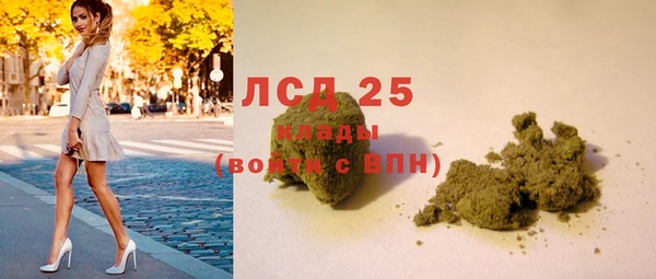 ПСИЛОЦИБИНОВЫЕ ГРИБЫ Арсеньев