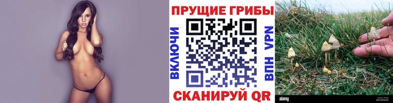 Псилоцибиновые грибы ЛСД  Раменское 